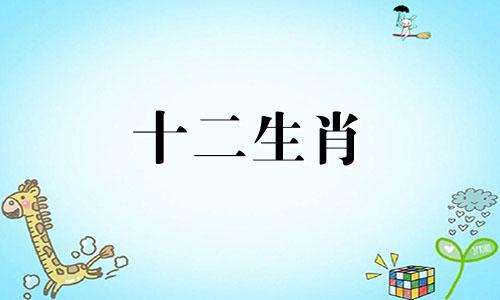 1992年出生的猴人和1993年出生的鸡人婚后感情如何