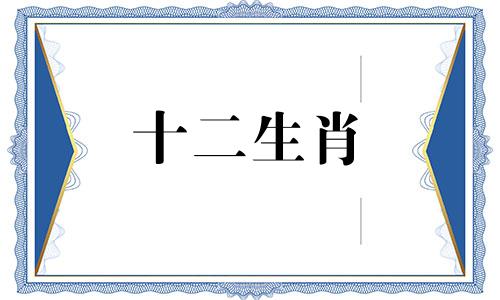 两个1994年的属狗人是否适合结婚呢