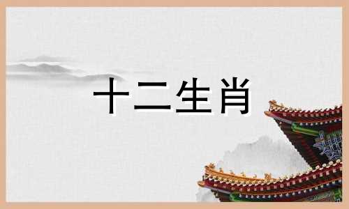 牛宝宝和龙爸爸属相合不合财