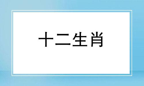 2021年容易离婚的生肖属相有哪几个呢