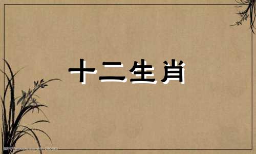 十二生肖中的六冲三合格局是什么样的呢