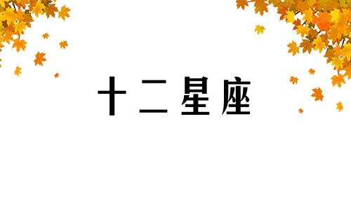 金牛座2023年爱情运势详解