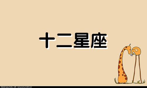 双子座的生肖鼠在2023年的整年运势如何呢