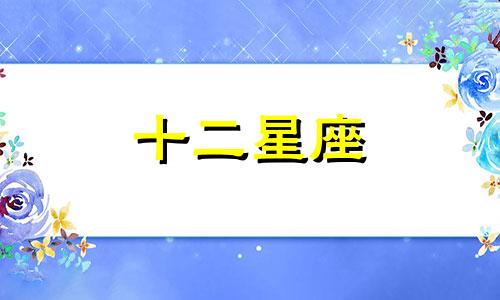 12星座中处女座女会喜欢什么星座的男孩子