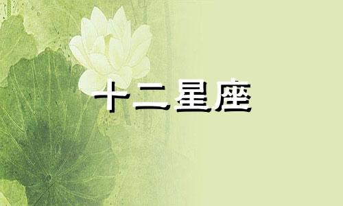 属马摩羯座2022年运势如何呢