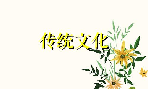 火命的人养什么植物最旺财运