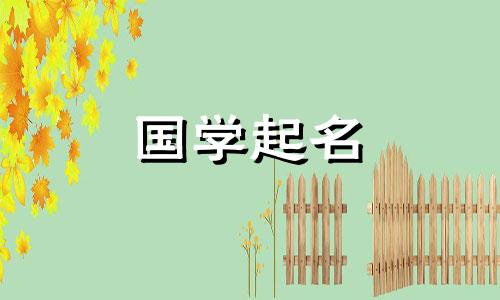 属猪人女孩又吉利又旺财名字大全