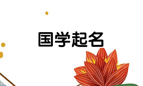 2019名字大全女孩名字排行榜