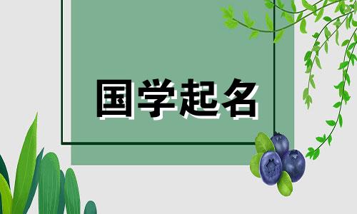 女孩名字简单大方洋气属猪