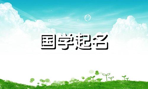 2024年1月9日农历十一月二十八出生的男宝取名字