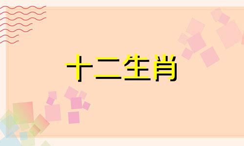 2024年属猪的财运和运气如何