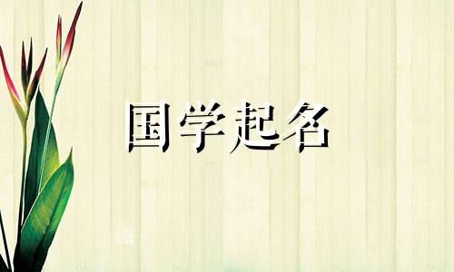 大气一点的公司名字有哪些