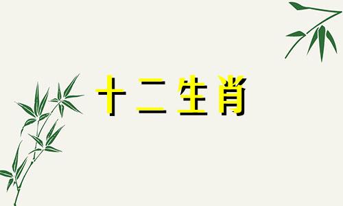 2024年属龙人佩戴什么生肖好