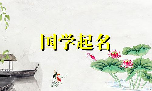 2024年元宵节出生的女孩取什么名字好