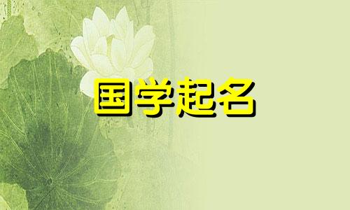 2024年正月初九出生的男孩名字叫什么