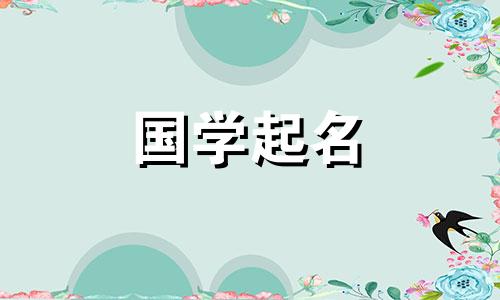 2024年正月初九生的男孩取名字