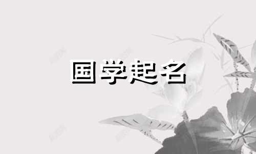 龙年元宵节出生的宝宝名字叫什么