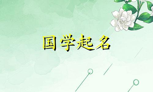 2024年女宝宝名字大全免费取名