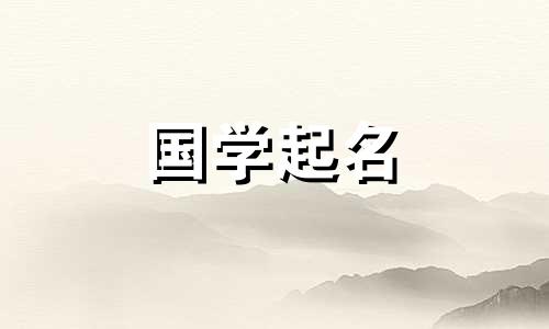 有高级感的出口公司名字大全