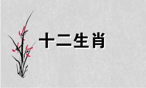 93年属鸡的女性是什么性格 93年属鸡的女人性格怎么样