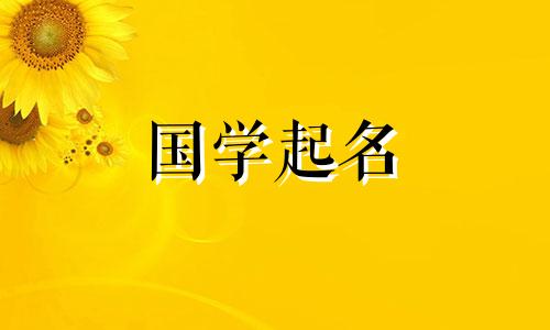 外贸公司取名创意大全图片