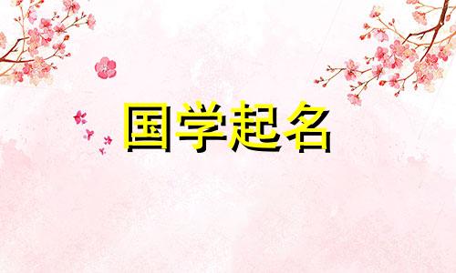 新媒体运营公司做什么的啊