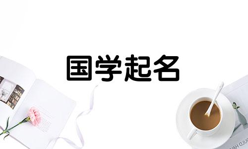 新媒体公司名字精选怎么取