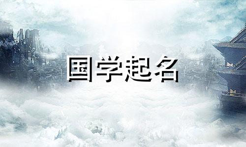 24年比较新颖的公司名字大全