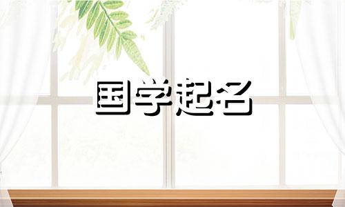 24年象征财源滚滚的公司名字有哪些