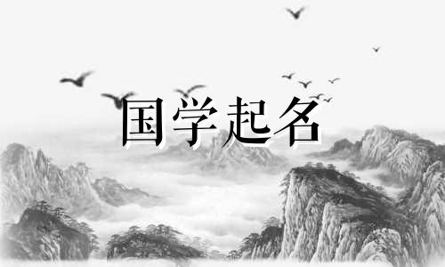 五行缺木的公司名字怎么取好听