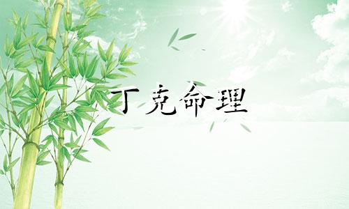 丁克命理 八字里面的丁是什么意思