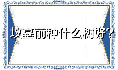 坟墓前种什么树好? 坟墓前适合栽种什么树种几颗合适?