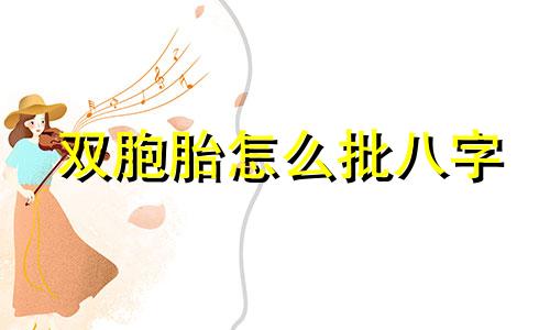 双胞胎怎么批八字 双胞胎八字怎么看好坏