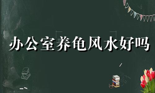 办公室养龟风水好吗 办公室养龟风水怎么样