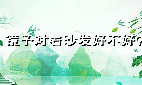 镜子对着沙发好不好? 镜子对着沙发有讲究吗