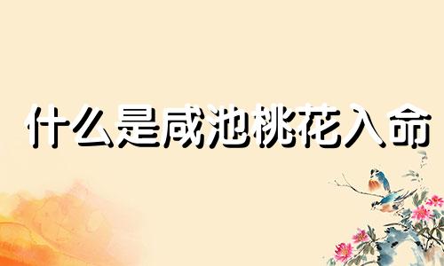 什么是咸池桃花入命 什么是咸池桃花星