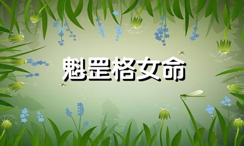 魁罡格女命 魁罡格是什么意思