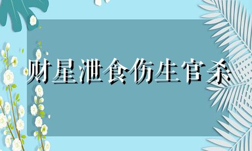 财星泄食伤生官杀 财泄食伤什么意思