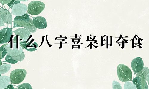 什么八字喜枭印夺食 枭印喜用神