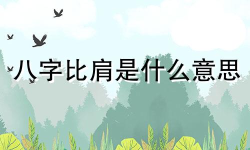 八字比肩是什么意思 八字比肩多代表什么