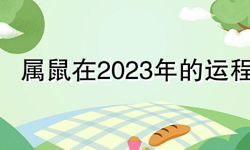 属鼠在2023年的运程 属鼠男2023年运程