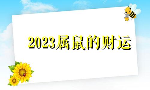 2023属鼠的财运 生肖鼠在2023年的运势以及注意月份