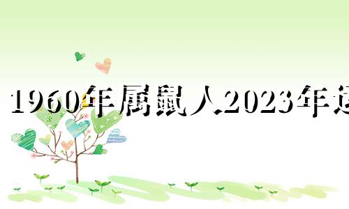 1960年属鼠人2023年运势 60年属鼠人2022年运势