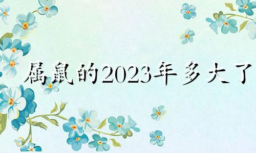 属鼠的2023年多大了 属鼠2023年运势及运程-2023年属鼠人的全年每月运势