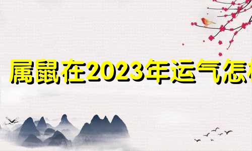 属鼠在2023年运气怎样 属鼠2023年桃花劫结婚