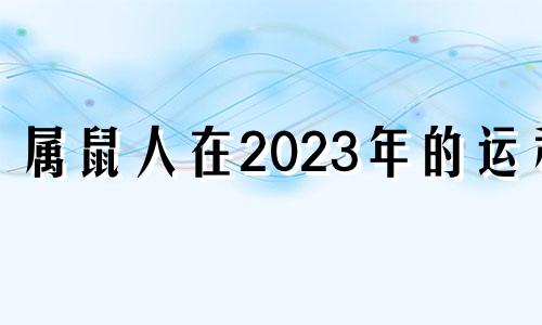 属鼠人在2023年的运程 属鼠在2023年运势怎样