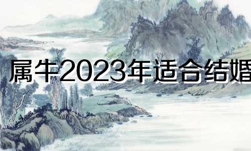 属牛2023年适合结婚么 2023年属牛女适合结婚吗