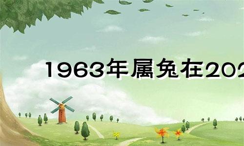 1963年属兔在2023 1963年兔在2022年怎么样