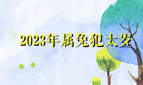 2023年属兔犯太岁 2023年属兔灾难