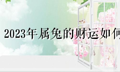 2023年属兔的财运如何 2023年属兔人运气